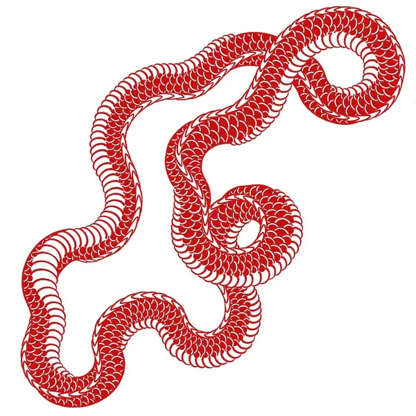 Dragon, Snake