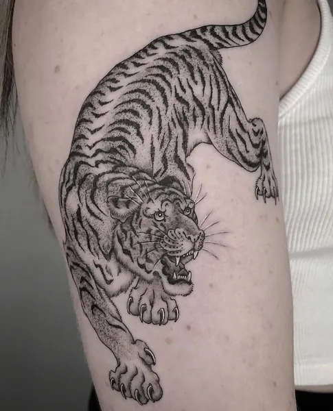 Tiger