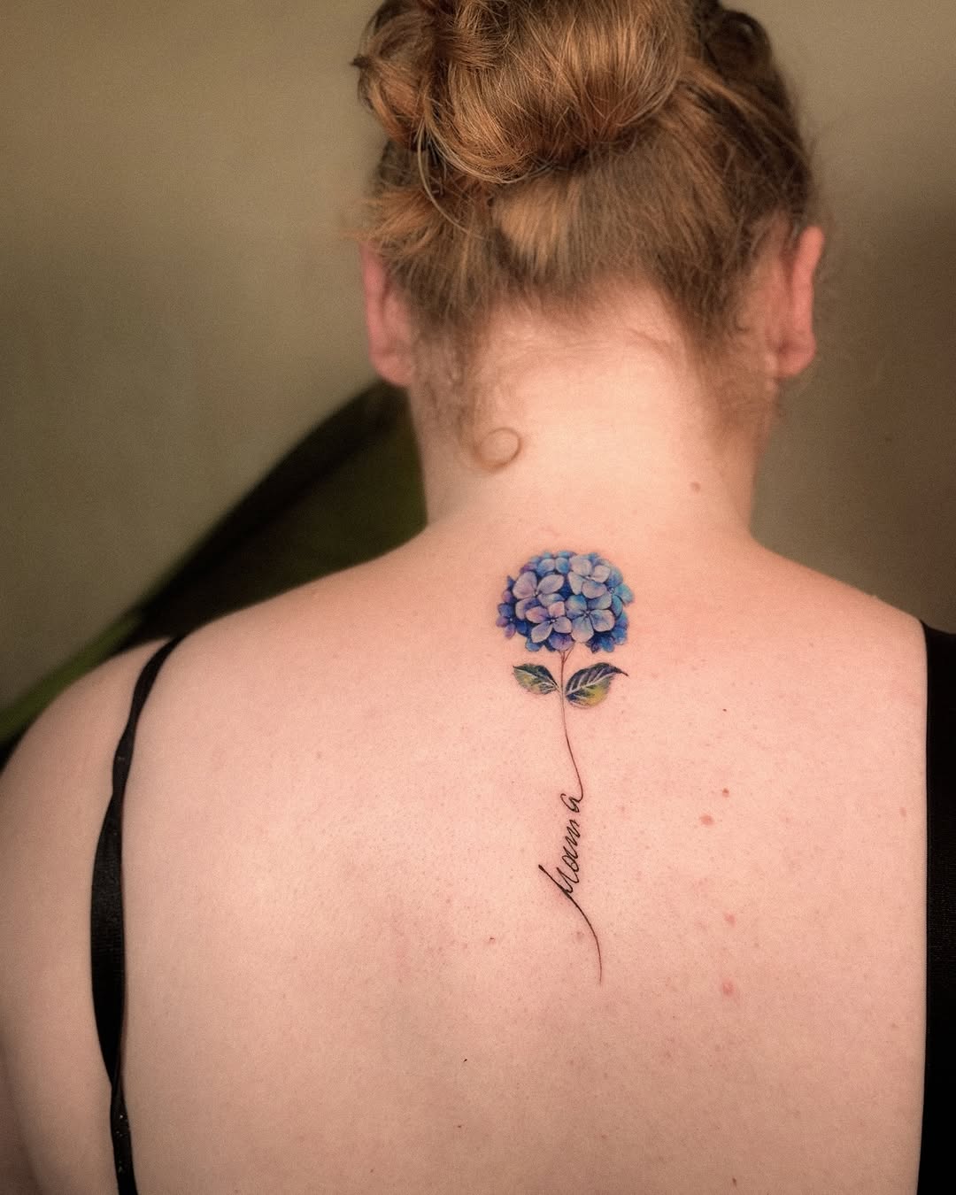 Flower, Nature, Rose