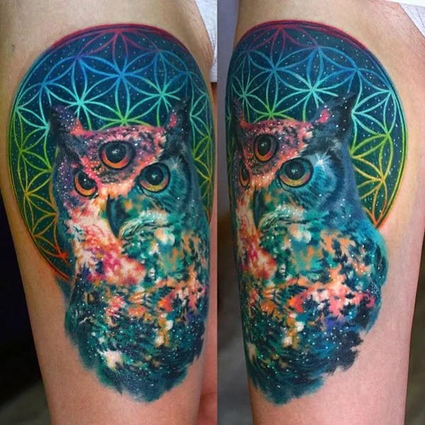 equilattera