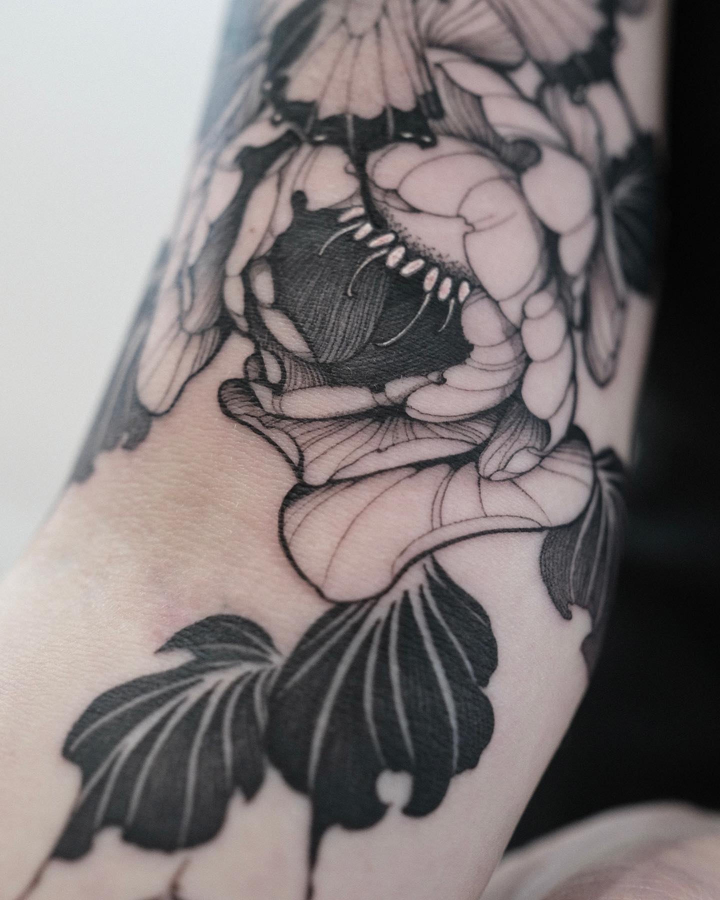 Animal, Nature, Flower