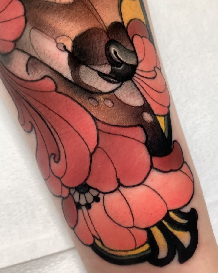 Animal, 여우