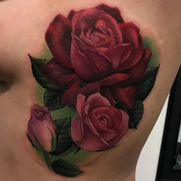 Flower, Rose, Nature