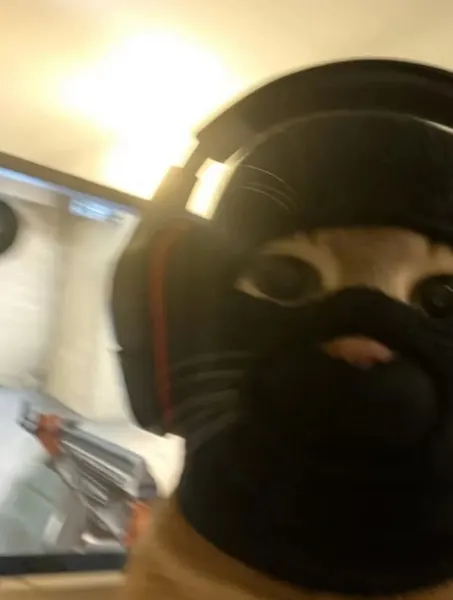 Milo._.club