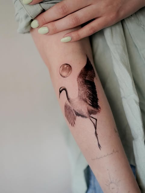 felipeabelart