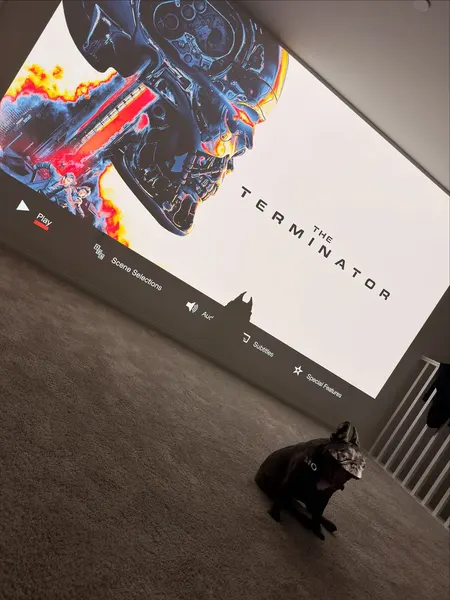 mistertroshin