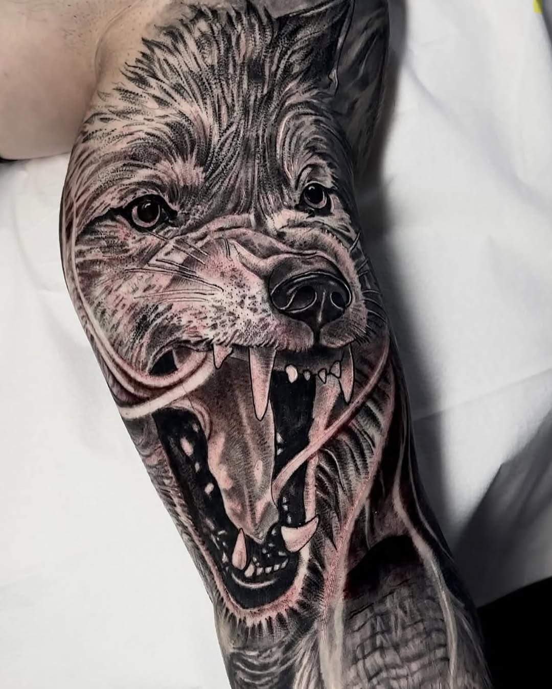 Animal, Tiger
