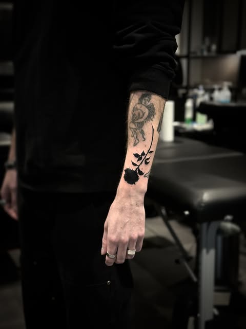 Flower, Rose