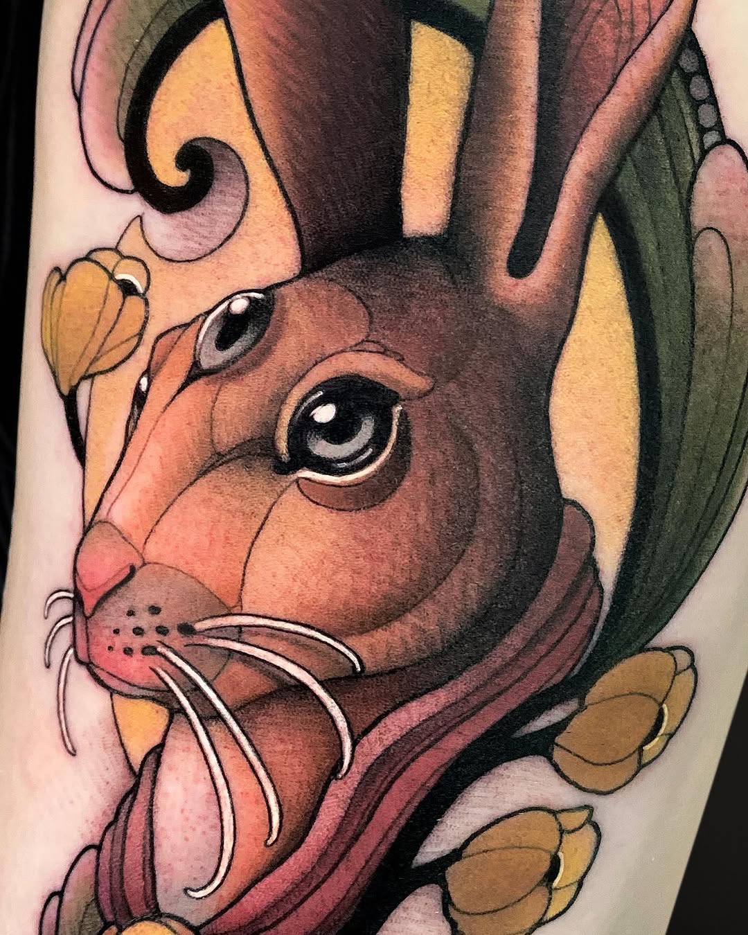 Animal, 토끼
