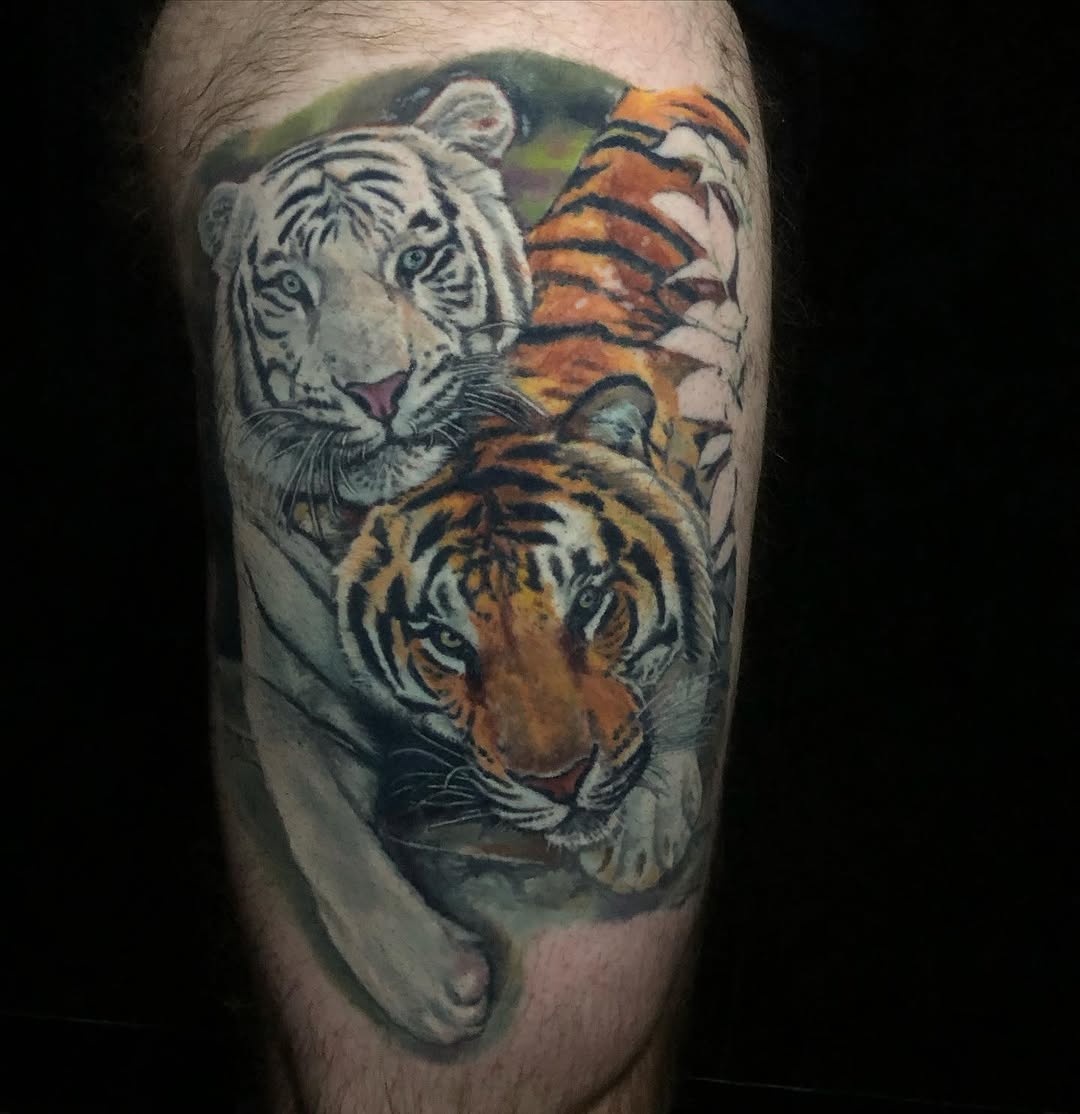 Tiger