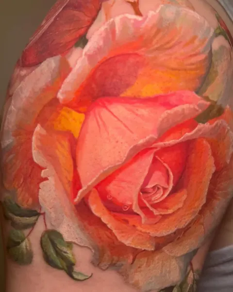 Flower, Rose