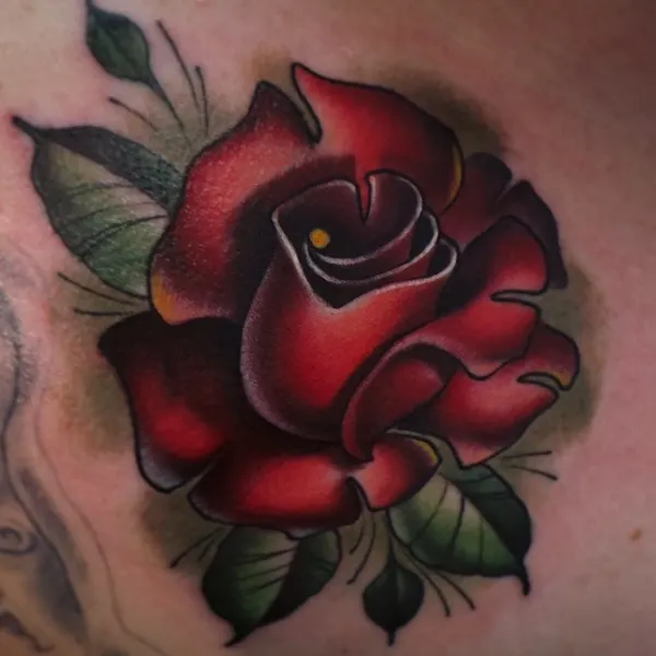 Flower, Rose, Nature