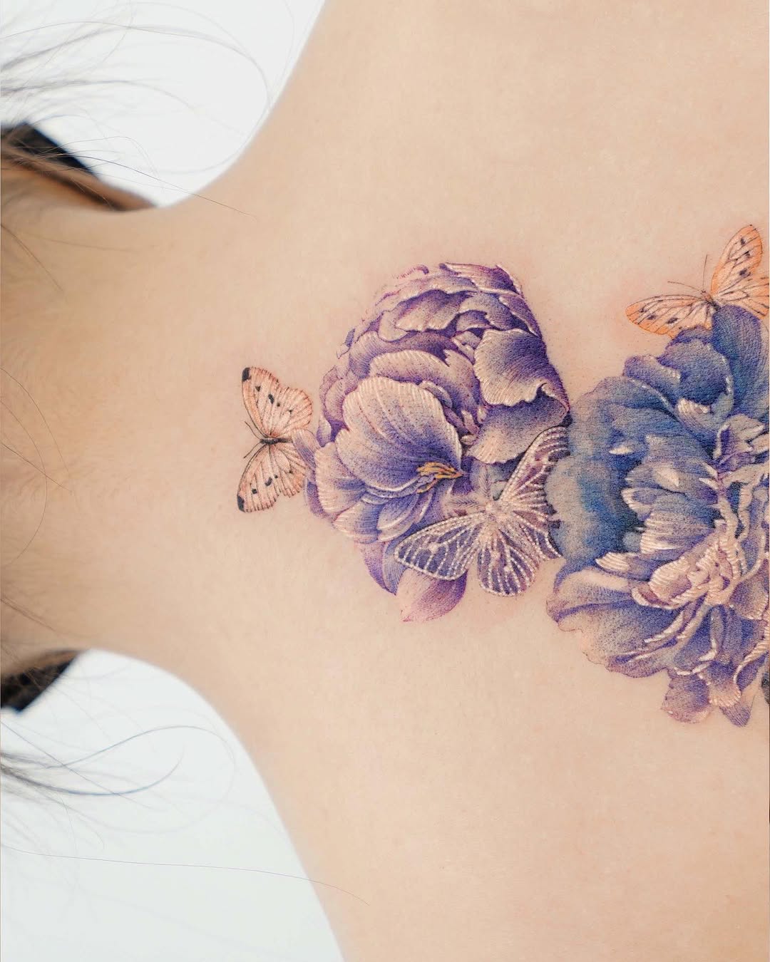 Flower, Nature, Rose