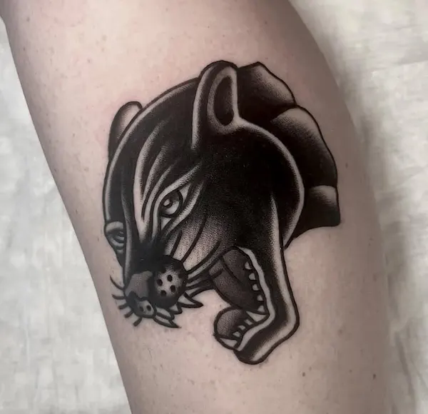 Tiger, Animal
