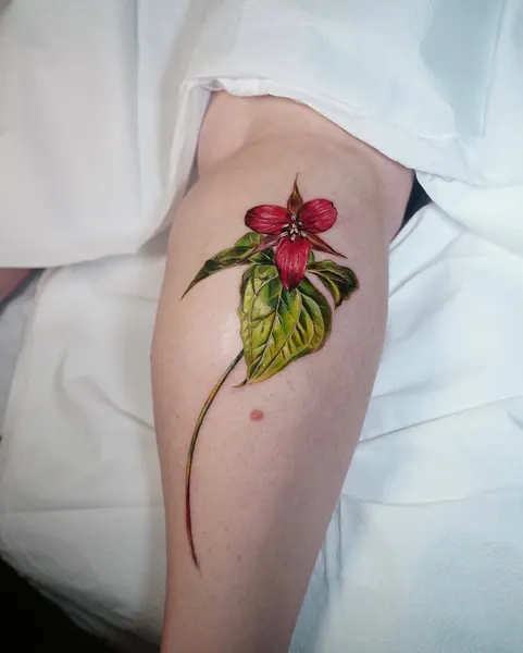 Flower