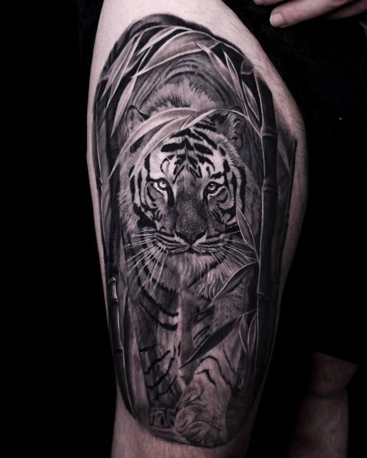Tiger