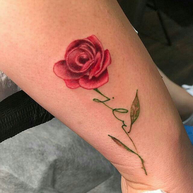 Flower, Rose