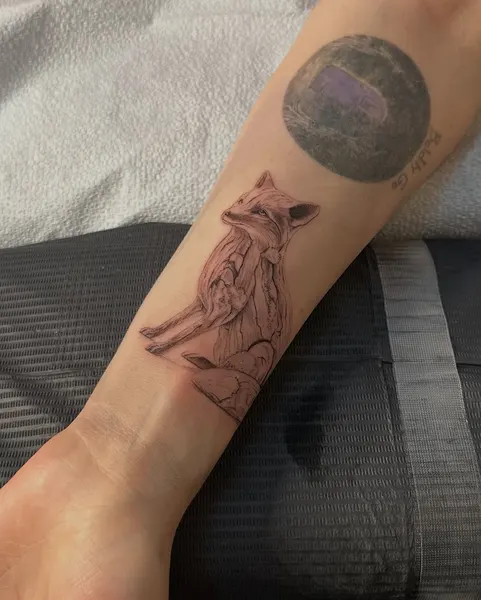 Animal, 여우