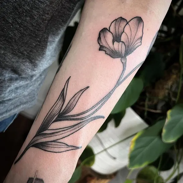 Flower, Rose
