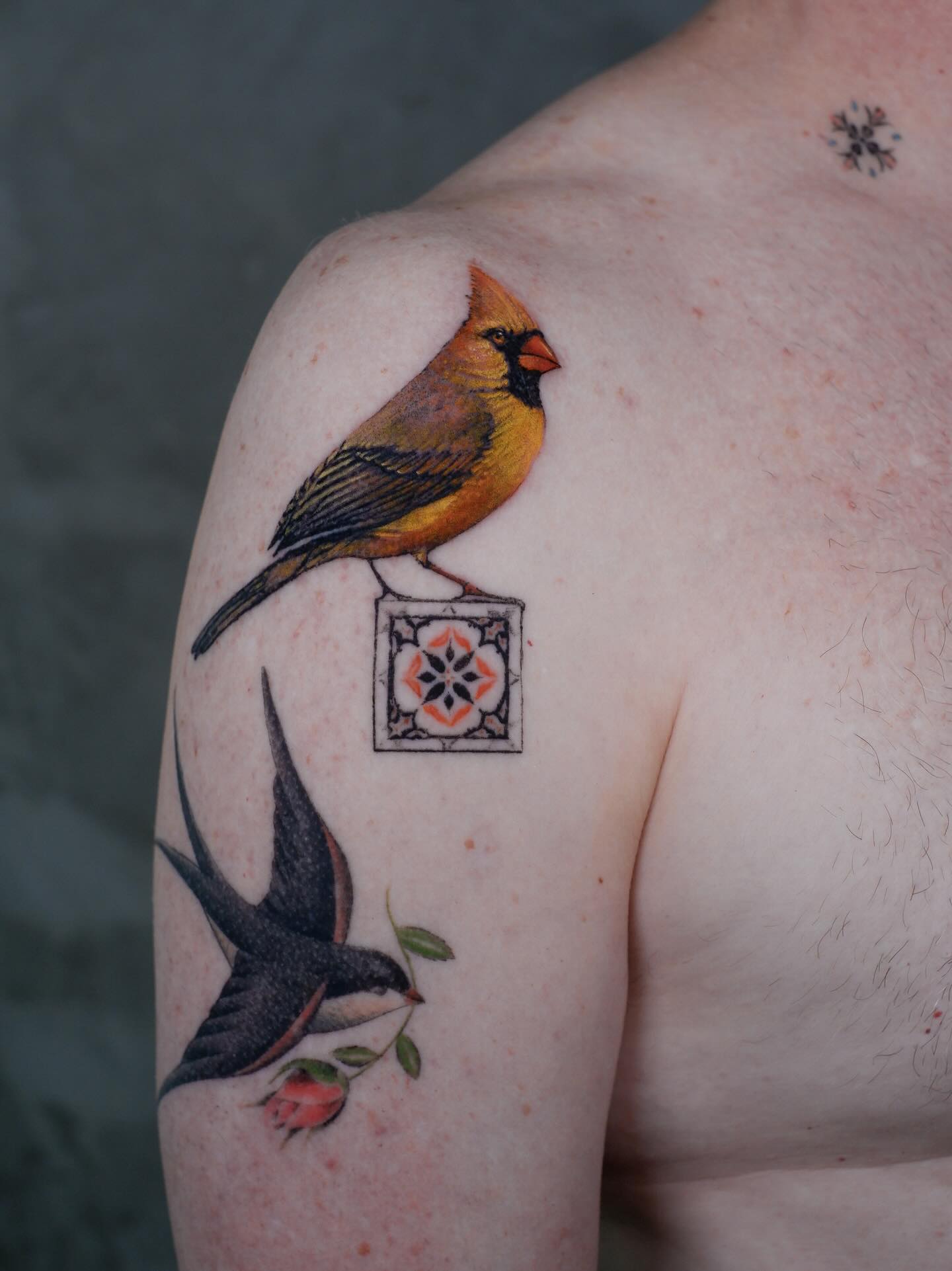 Flower, Animal, Nature
