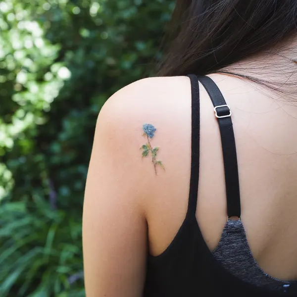 Flower, Rose