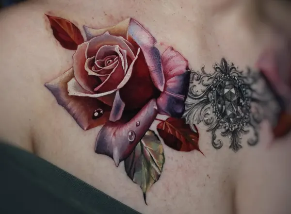 Flower, Rose, Nature