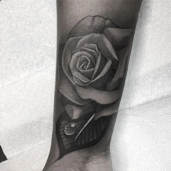 Flower, Rose