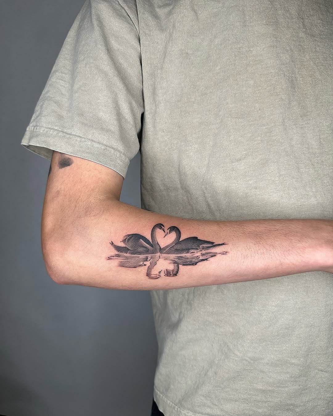 plantsnpokes