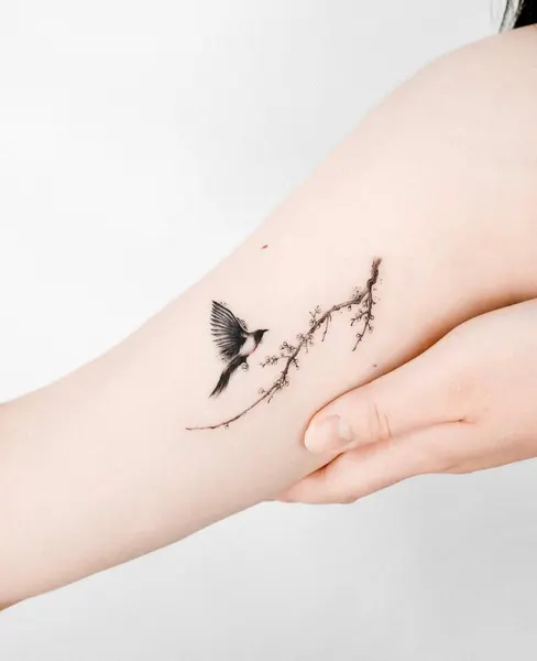 Nature, 일본 단풍, Flower, 매화, 벚꽃