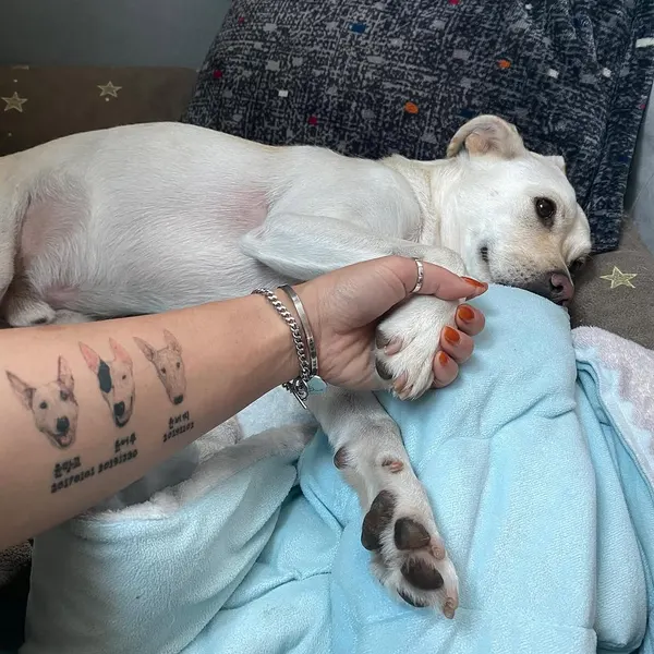 tattooist_yammy