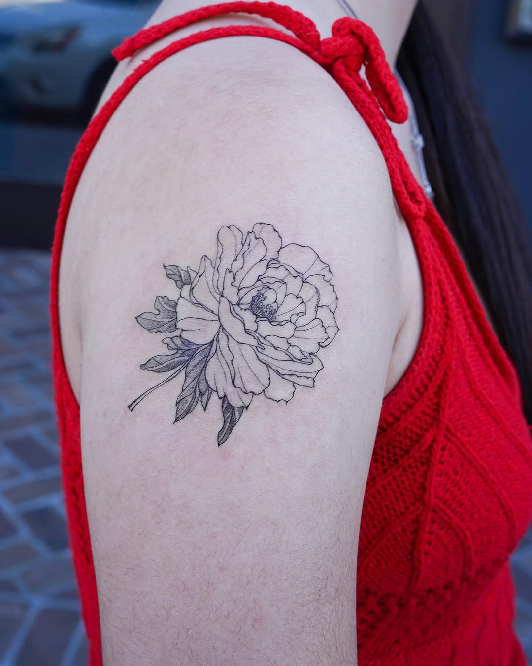 Flower, Rose, Nature