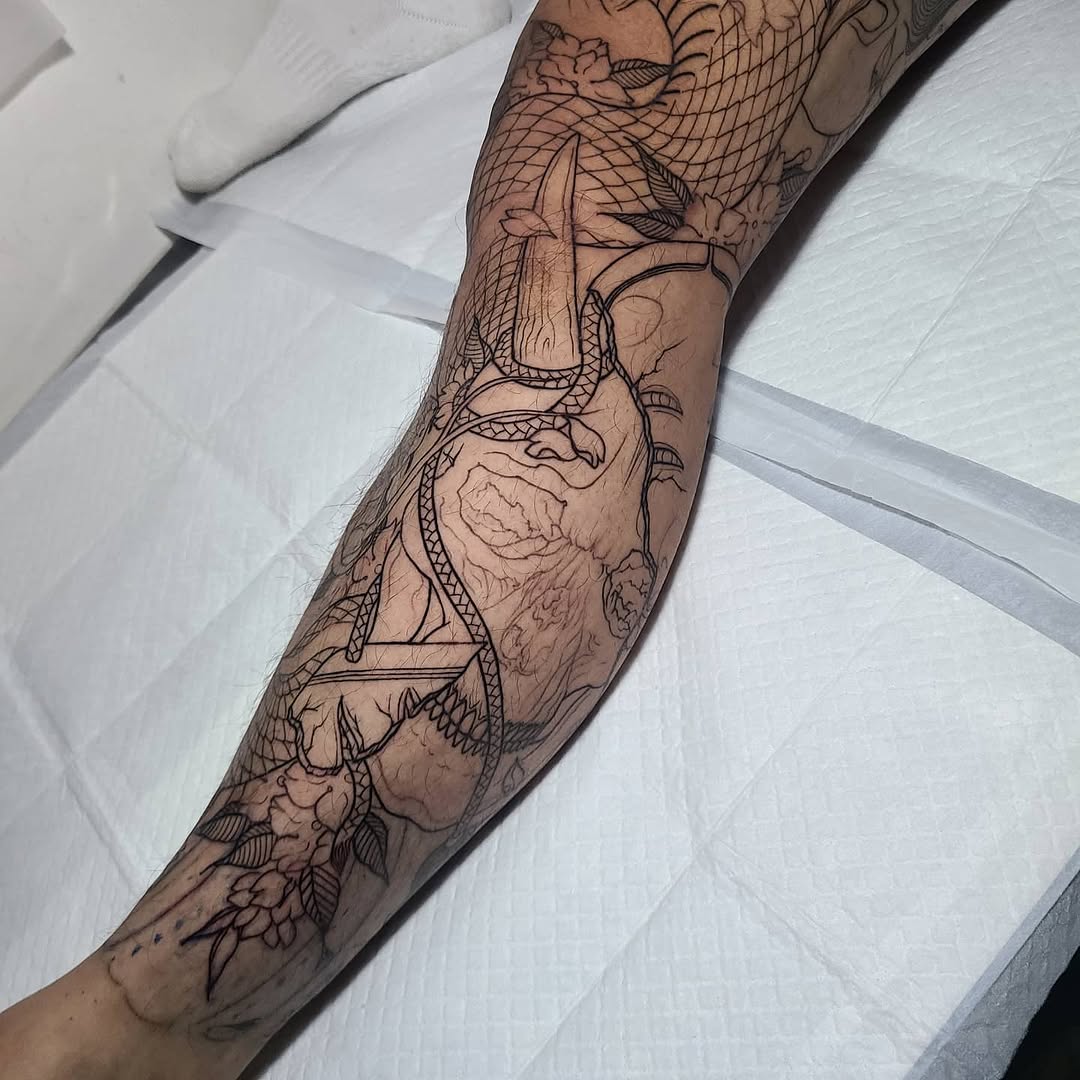 Animal, Dragon