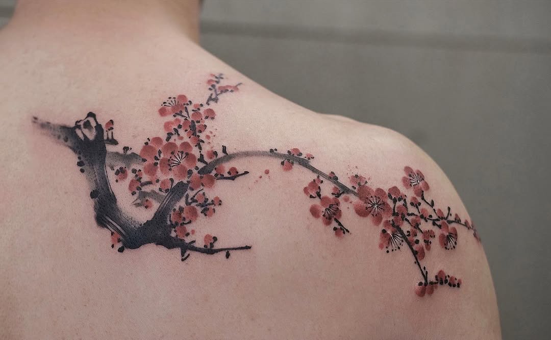 Flower, Nature, 일본 단풍, 벚꽃