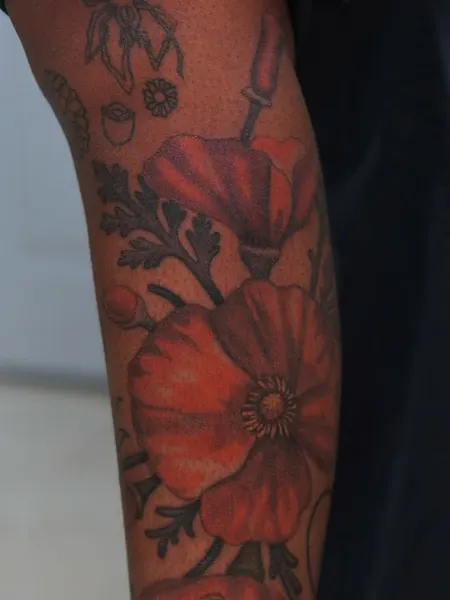 Flower, Rose
