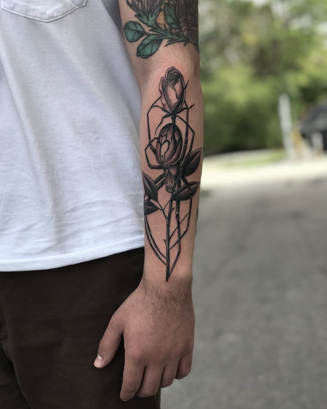 Rose, Flower