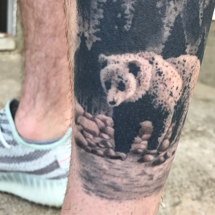 Animal