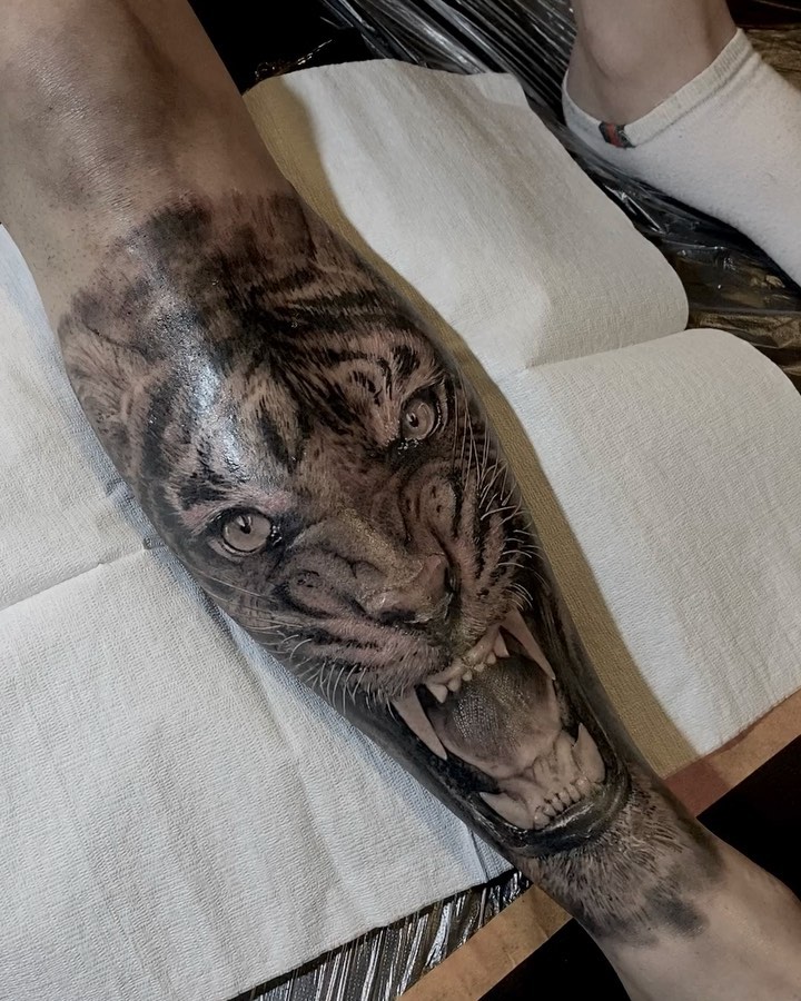 Tiger