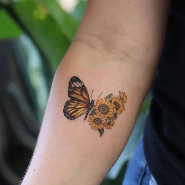 Animal, Nature