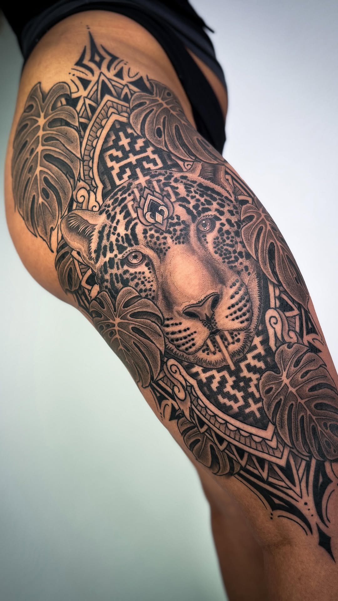 Animal