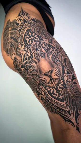 Animal
