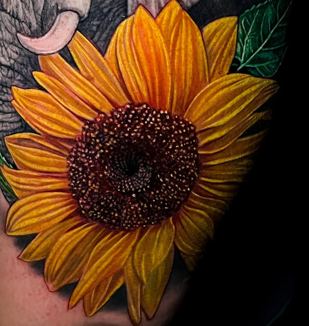 Flower