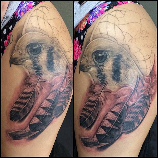 Animal