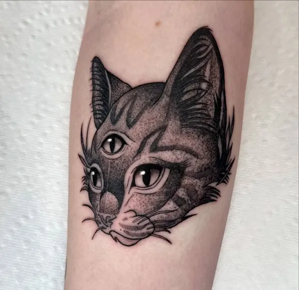 Animal, Tiger