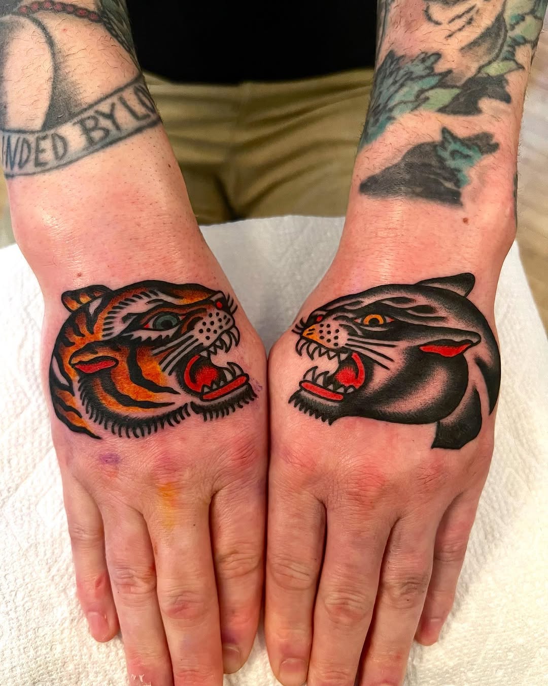 Tiger, Animal