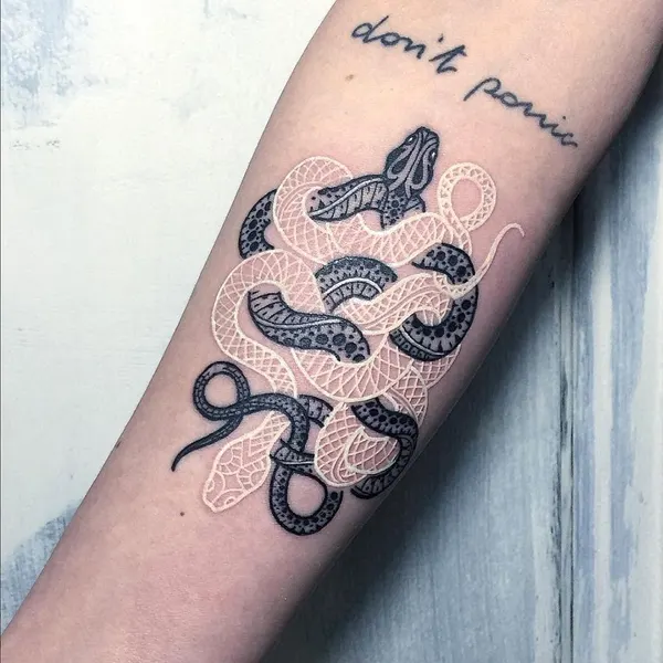 equilattera
