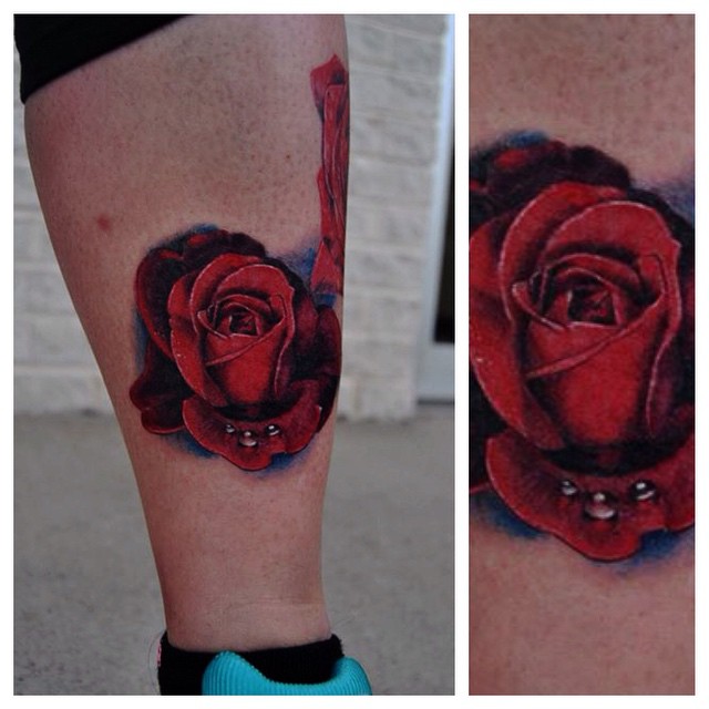 Flower, Rose