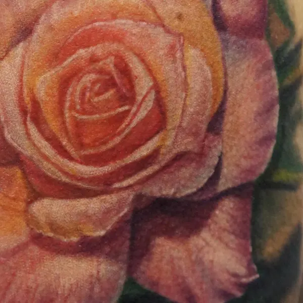 Flower, Rose