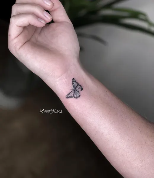Nature, Animal