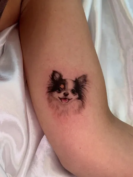반려동물
