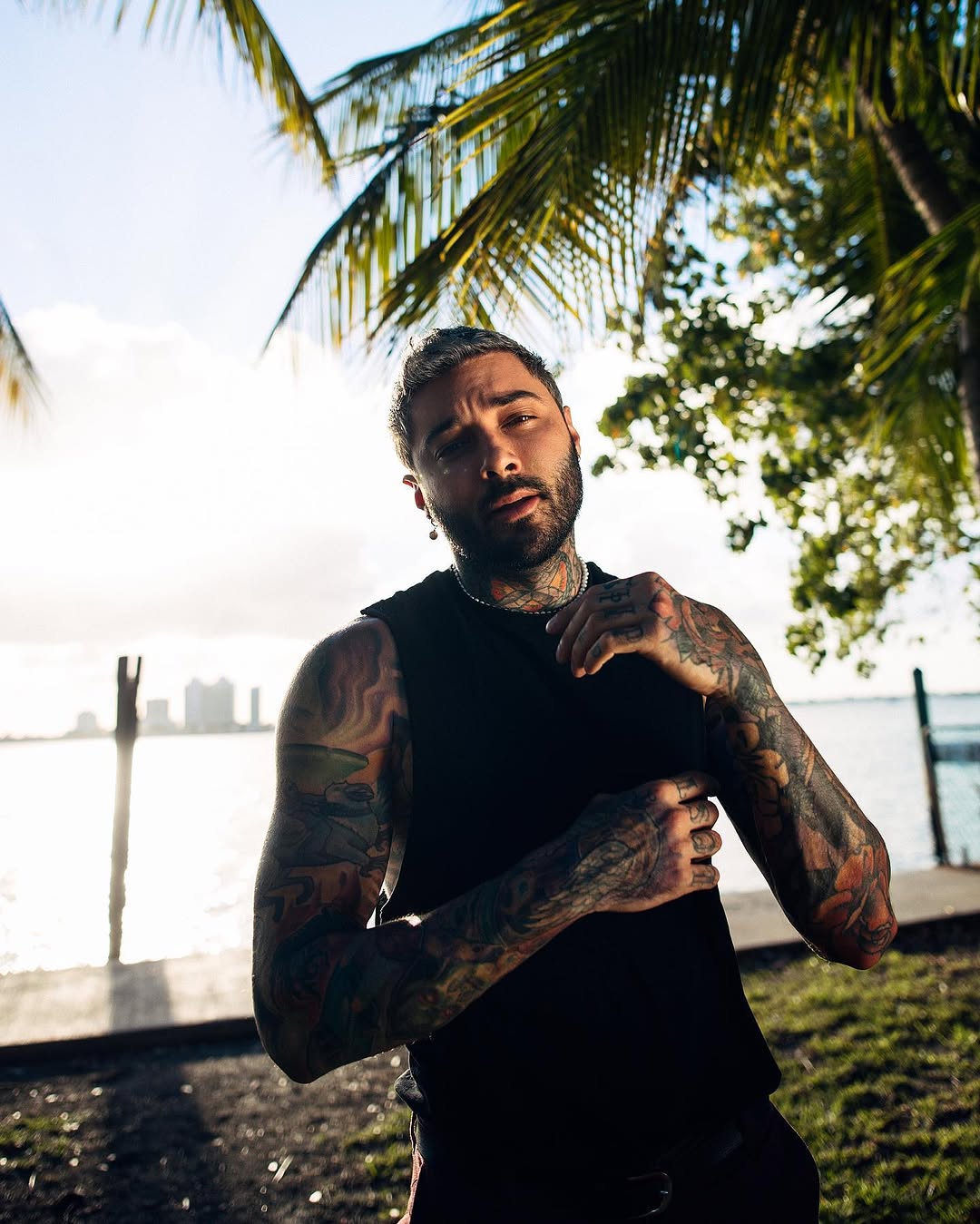 romeolacoste